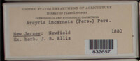 Image Associated With the Occurence